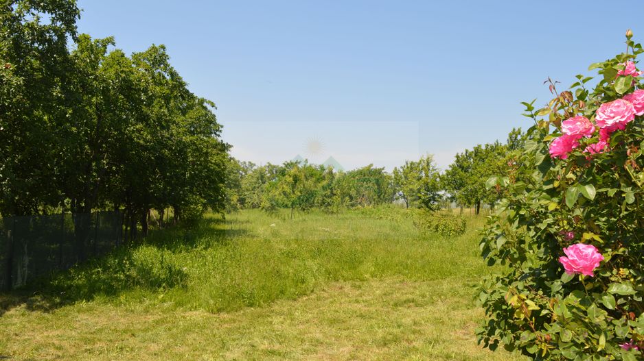 Casă/Vilă cu 5 camere Măzănăești - Poză 44