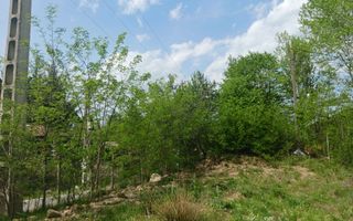 Teren pentru cabana, Marajdie deschidere la rau Gura Raului Sibiu - Poză 3