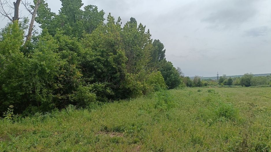 Teren pentru construcție (1.092 ha) în com. Ghidighici mun. Chișinău - Poză 7