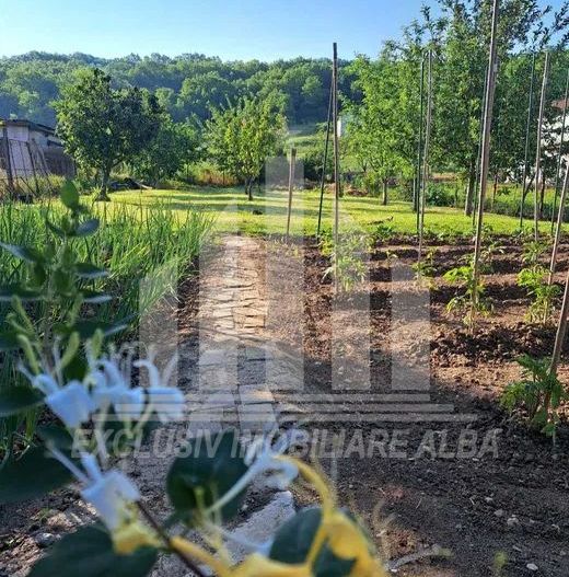 Teren intravilan de vanzare, Ciugud - Poză 1