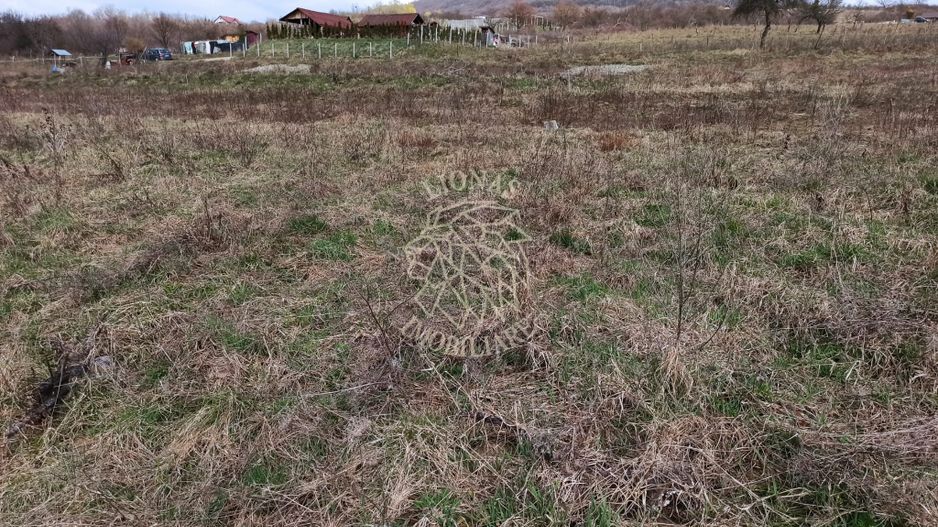 Teren intravilan 500 mp-ideal casa-Zona Dr. Tarpiului - Poză 2