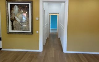 Apartament lux ,Iancu Nicolae - Poză 11