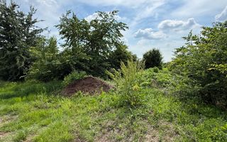 Teren intravilan 498,02 mp langa pădure , strada privata Corbeanca - Poză 7