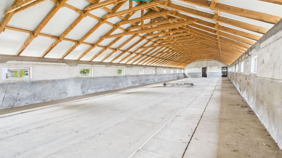 Hală pentru producție / fermă zootehnică  - Variaș - Poză 3