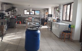 CASĂ\VILĂ DE VÂNZARE \COM. OBREJA\SAT IAZ\CARAȘ-SEVERIN - Poză 20