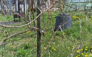 Vanzare casa P+1, anexe, curte, sat Verseni, comuna Miroslovesti, la asfalt - Poză 7