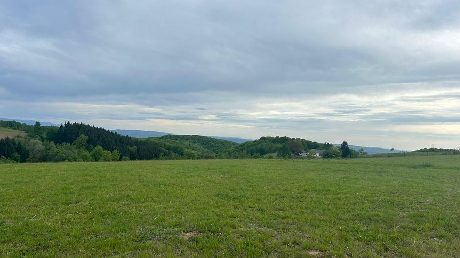 TEREN DE VANZARE IN SINTEU - Poză 2