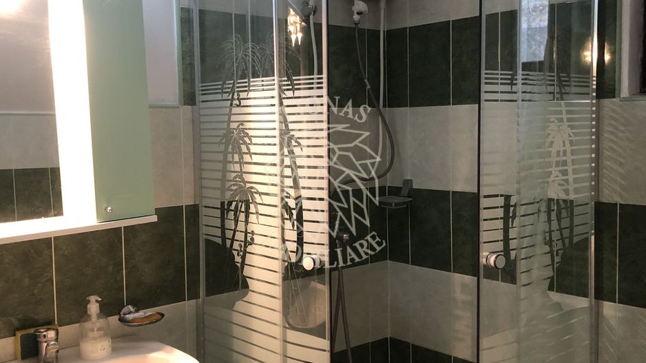 Casa de vacanta 200 mp-deschidere la Lac Colibita-EXCLUSIVITATE - Poză 7