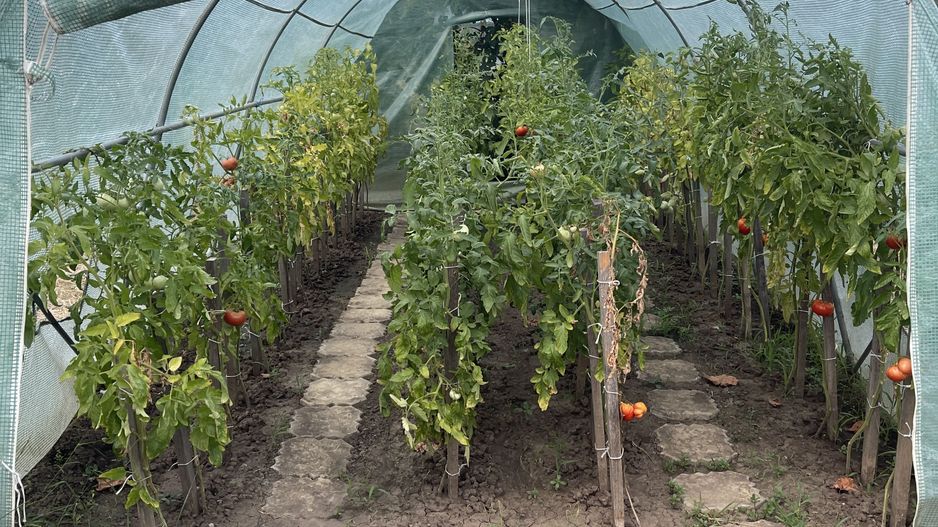 Casa | 9 camere | Garaj | Piscina | Teren 3.000 mp | Comision 0% - Poză 43