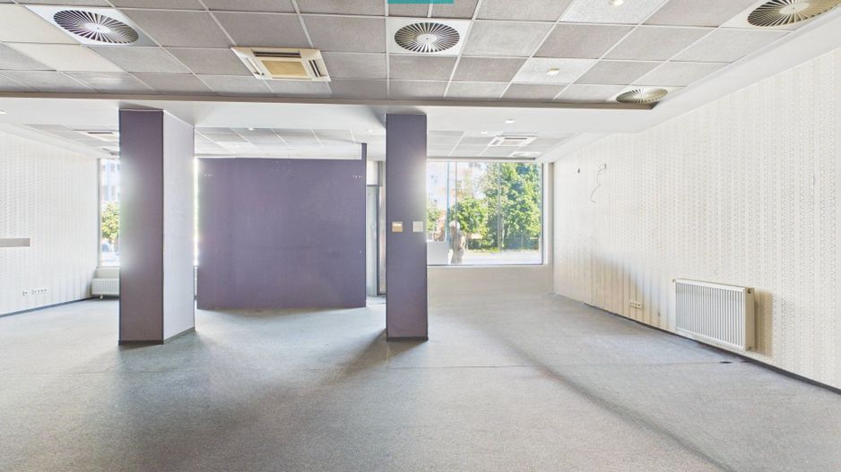 Spațiu  Comercial Zona Soarelui Bulevardul Sudului - Poză 19