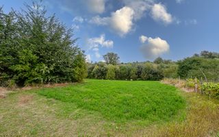 Casă interbelică + 3.060 mp intravilan, Trifești, 7,9 km de Roman - Poză 8