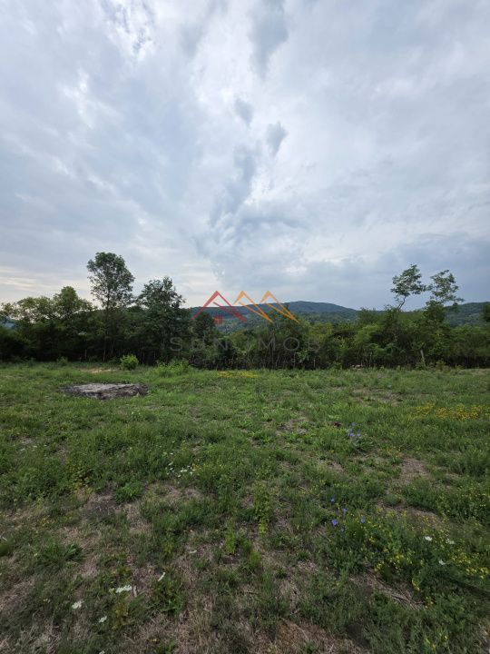 Teren Intravilan, utilitati in zona, 2600 mp, Draganeasa, Prahova - Poză 1