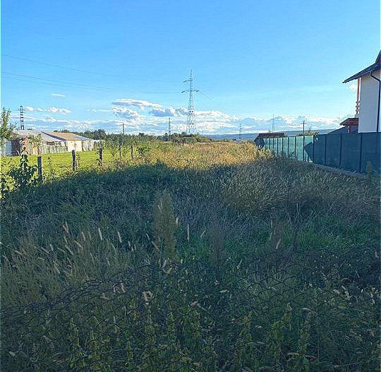 Vanzare Teren Colibasi Intravilan - Poză 2