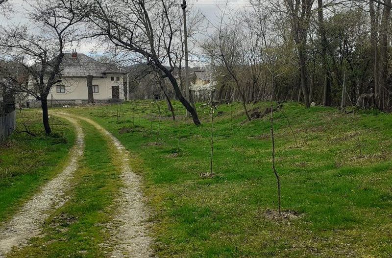 Casa de vanzare Domnesti Arges - Poză 9