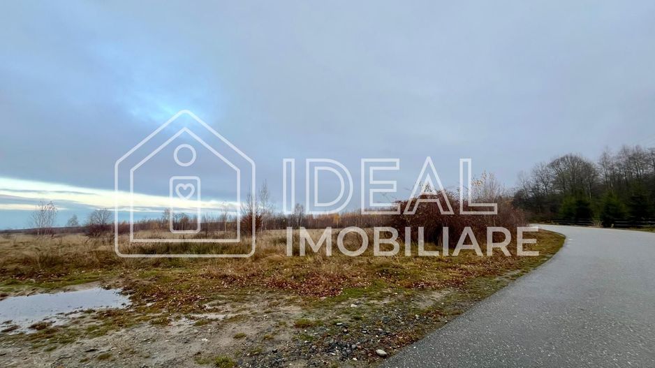 Teren extravilan 6.500 mp – Cârțișoara | Comision 0% - Poză 2