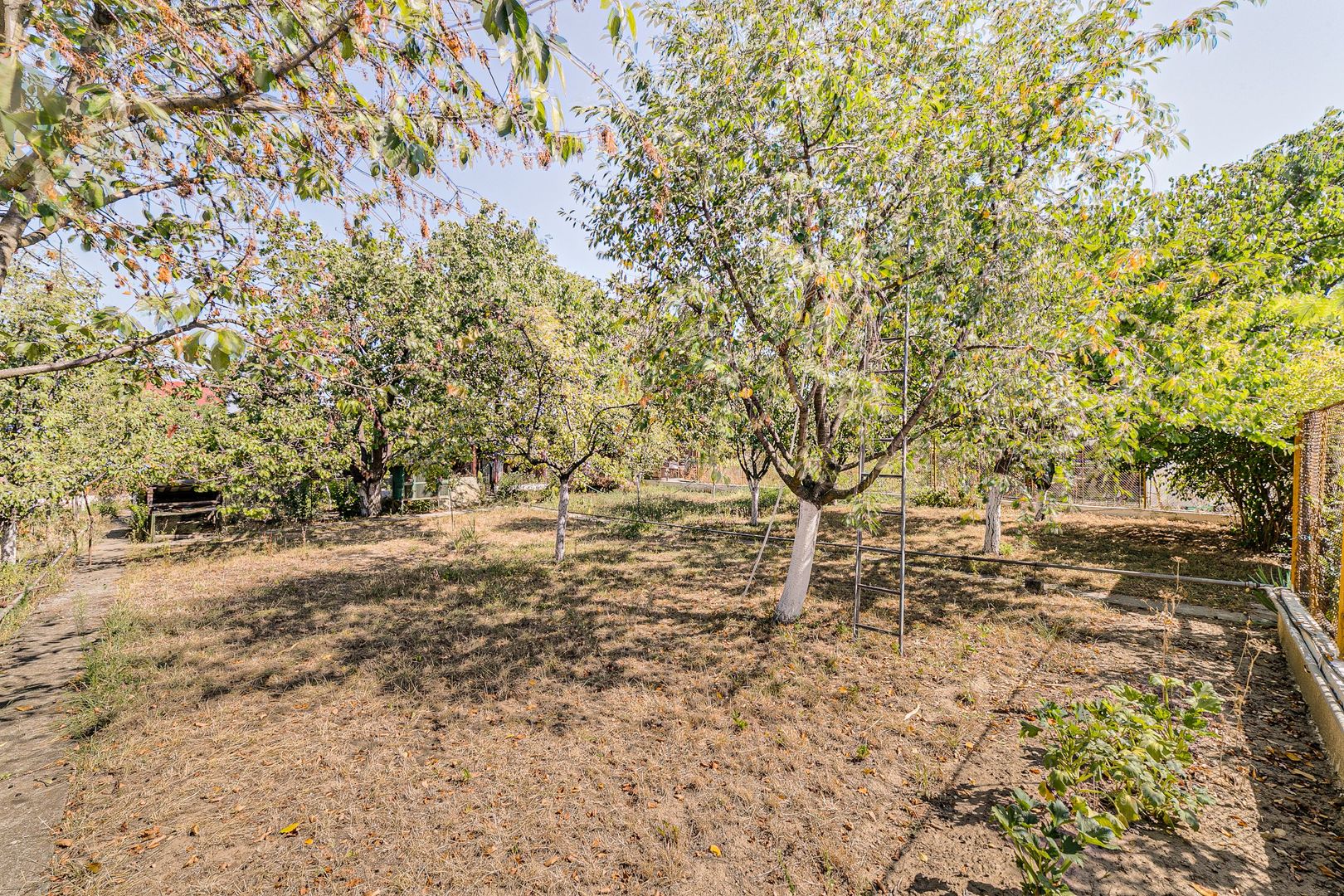 PRET NOU!!! Casa cu teren, Aradul Nou - Poză 11