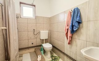 Casa individuala cu 12 camere, Potential Turistic, Visea, Comuna Jucu - Poză 30