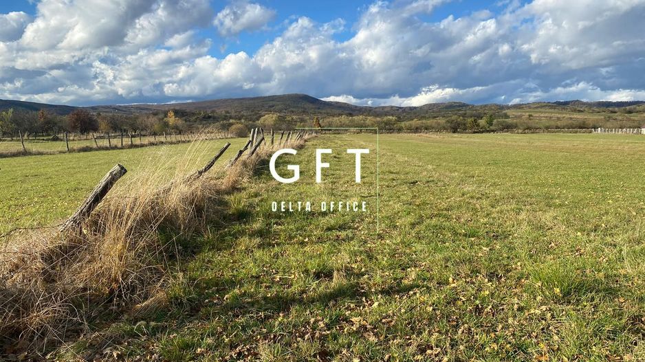 Teren extravilan 20 ari, Rusu Bargaului - Poză 1