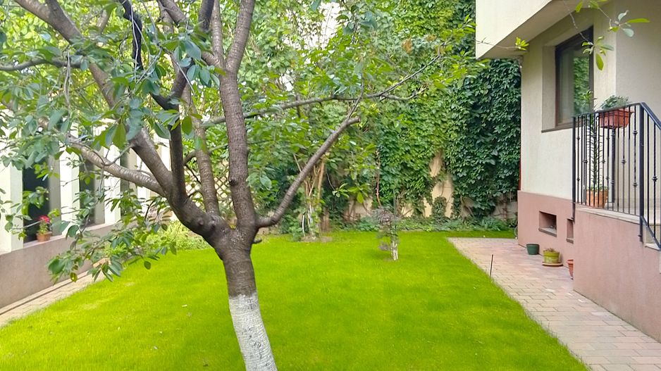 Apartament 3 camere centrala proprie +  parcare - Polona - Dorobanti - Poză 21