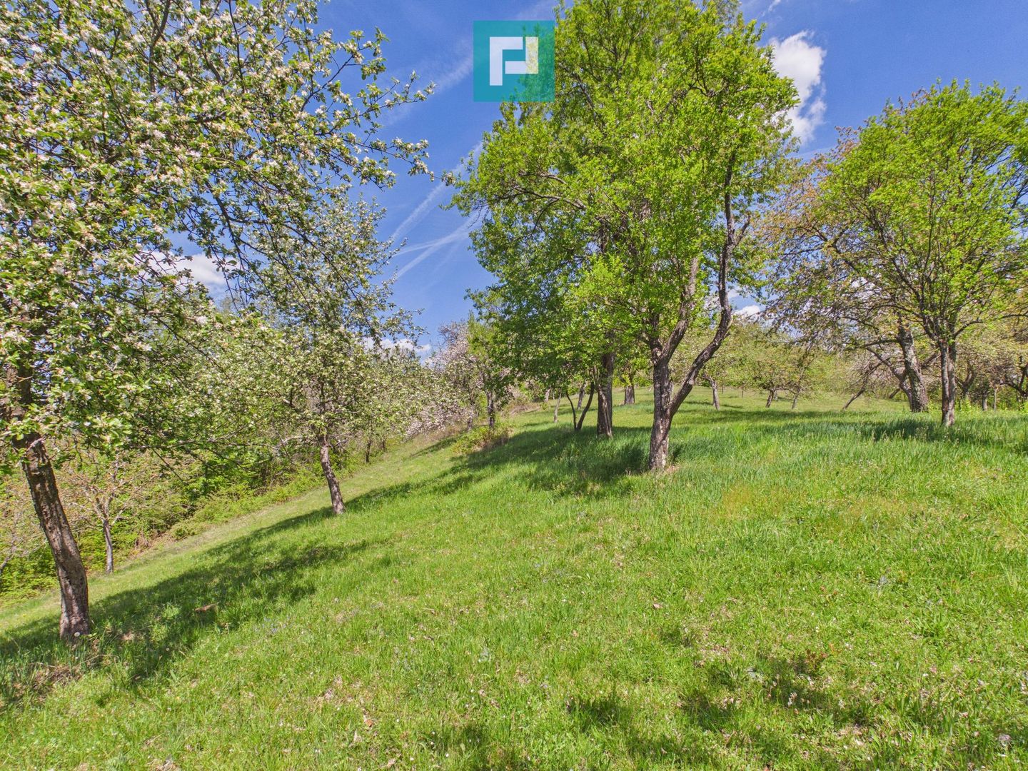 Proprietate rară cu 24.270 mp, în Măgulicea, Arad! - Poză 27