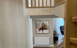 Vila superba Dumbravita - Poză 19