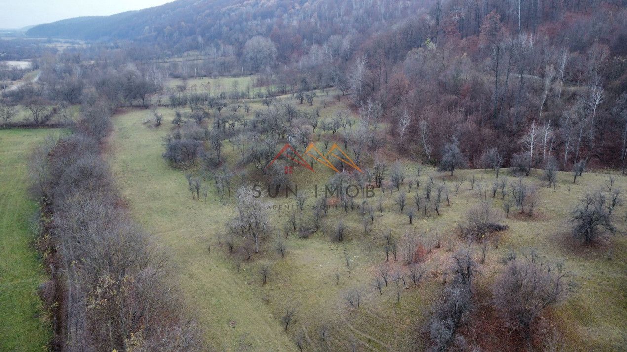 Teren 36000 m2, intravilan+partial extravilan, cadastru, Draganeasa PH - Poză 1