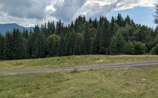 OFERTA! Teren intravilan 700 mp cu utilitati-ideal cabana-Colibita - Poză 4