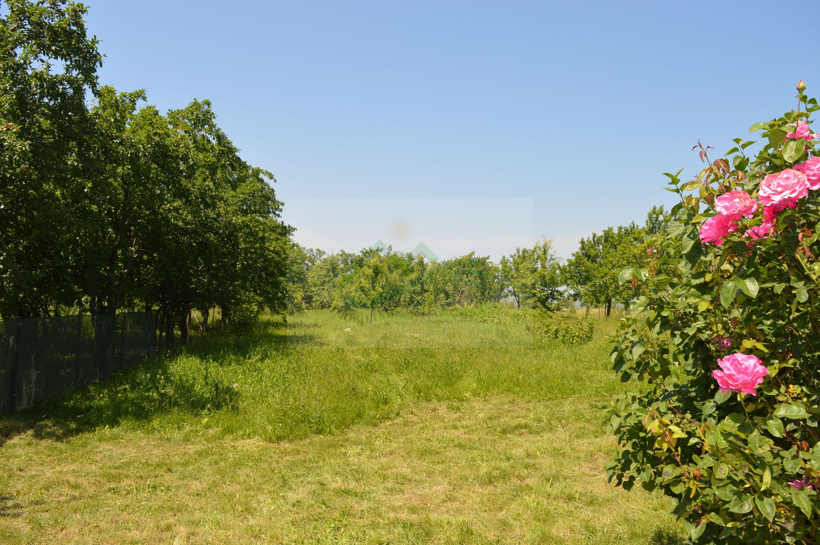 Casă/Vilă cu 5 camere Măzănăești - Poză 44