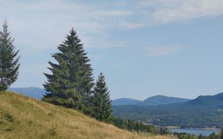 Teren intravilan de 200 ari la 1 km de lacul Colibița - Poză 4