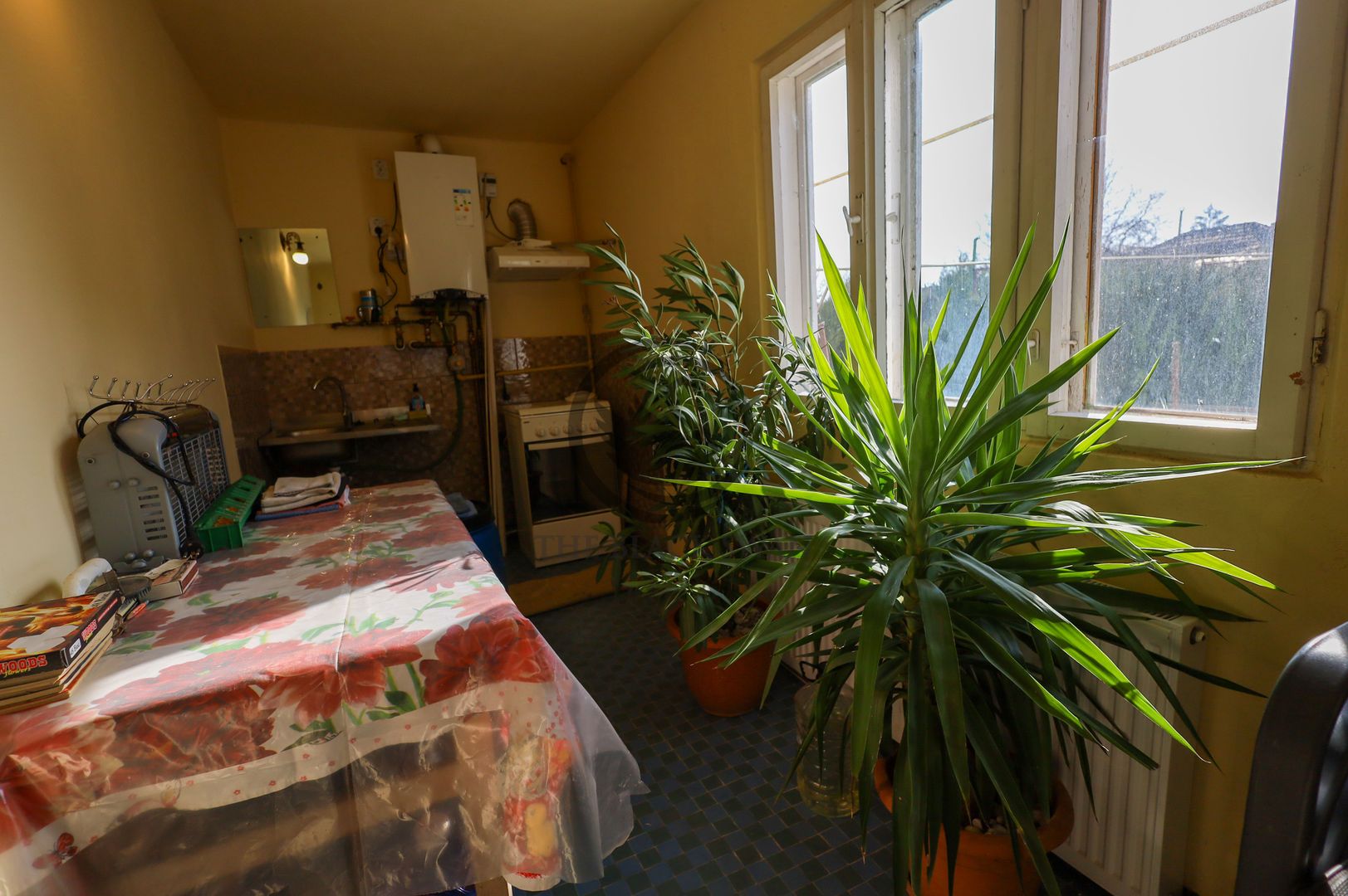 Proprietate cu 2 constructii | Valea Calugareasca | COMISION 0% - Poză 22
