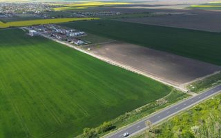 COM 0% Teren industrial pretabil hale, servicii | DN69 Sanandrei - Poză 4