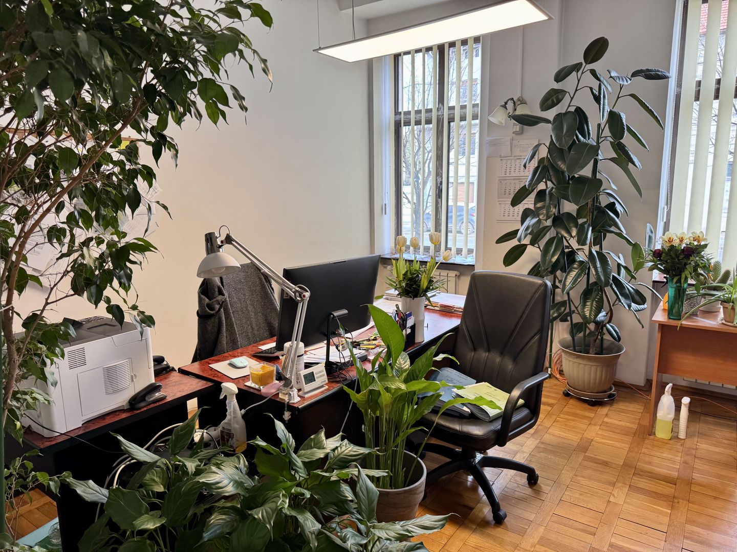 Brâncoveanu  Sp+P+M cu extindere P+1E+M pretabilă afacere - Poză 40