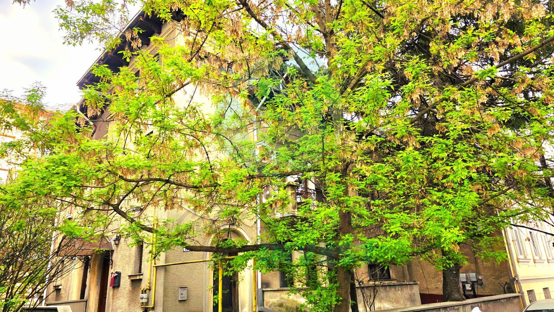 Parter vilă + demisol | Aviatorilor – Herăstrău | Grădină - Poză 1