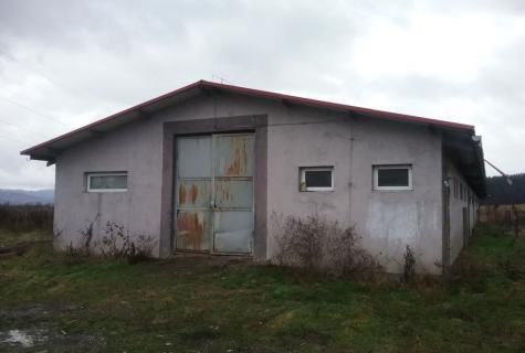 spațiu industrial Sacalaseni judet Maramures - Poză 1