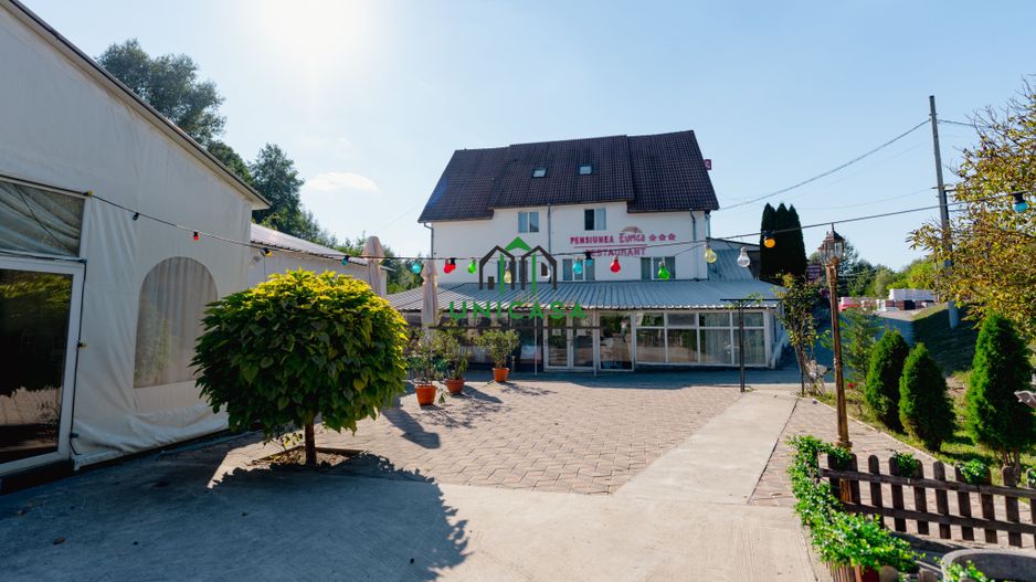 PENSIUNEA EVRICA - COSTESTI - HOREZU - VALCEA - Poză 53