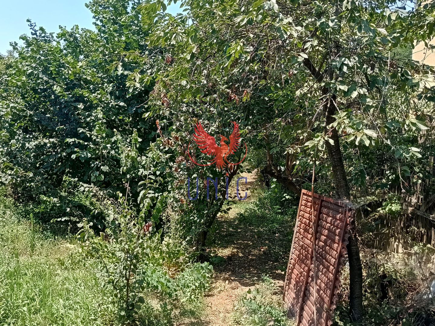 Teren 980 mp, 2 deschiderizona Drumul Muntenilor pret excelent - Poză 14