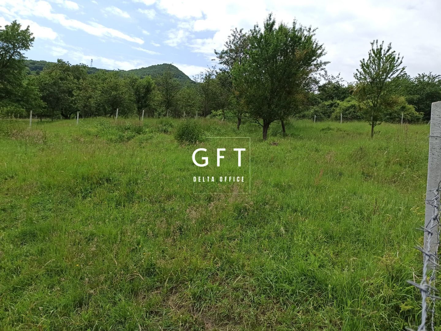 Teren 1000mp+cota drum-ideal cabana/investitie-panorama-Valea Rusului - Poză 5