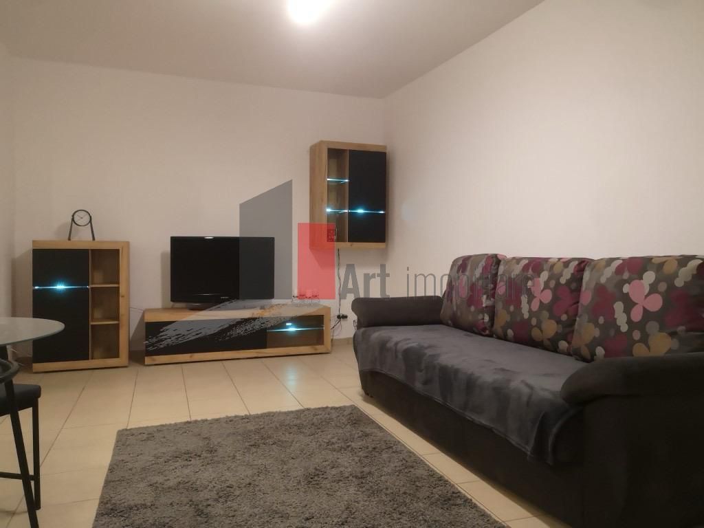 Garsoniera 33 Mp Dristor/ Camil Ressu - Poză 2
