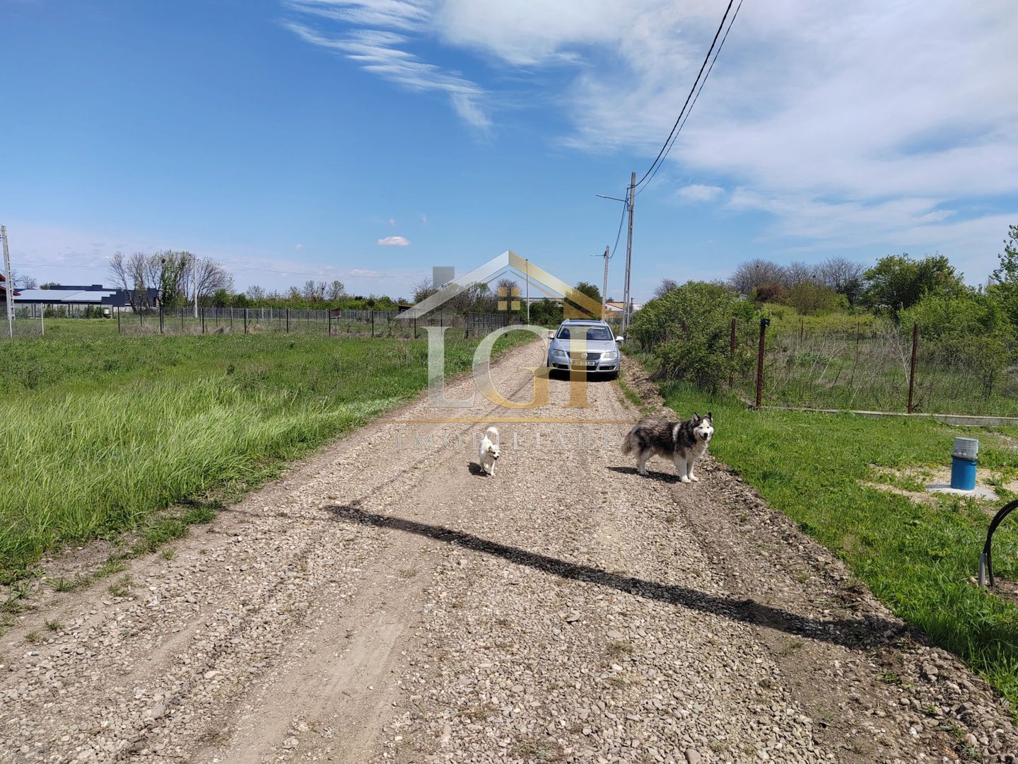 🌿 Teren de vânzare – Răcari, Str. Mestecenilor - Intrarea cu Tei - Poză 10