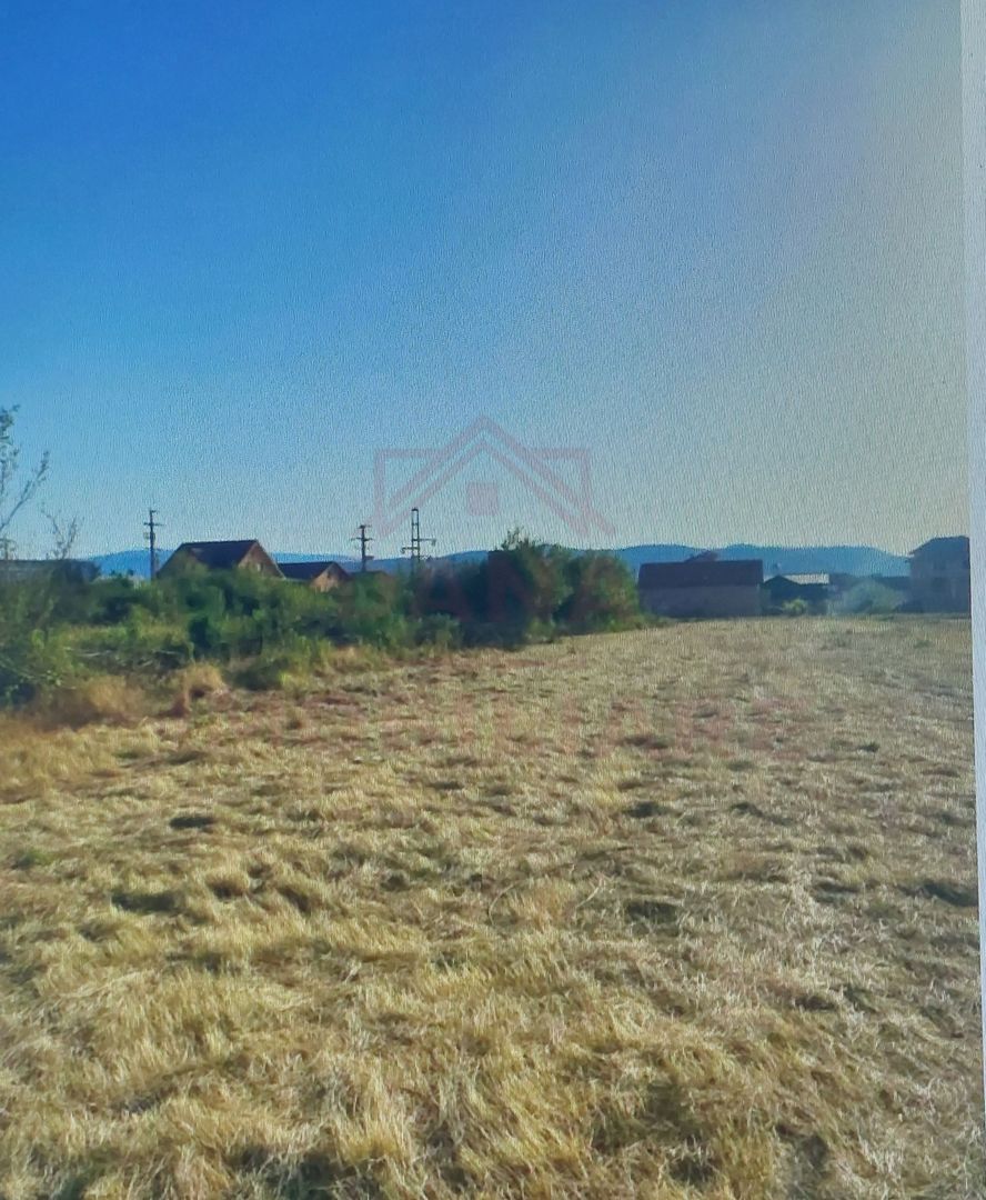 TEREN INTRAVILAN - STRADA AEROPORTULUI\ CARANSEBEȘ\JUD.CARAȘ-SEVERIN - Poză 2