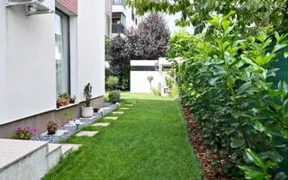 Casa cu 4 camere de vanzare | Renovata 2025 | Cartier Albert - Evocasa - Poză 21