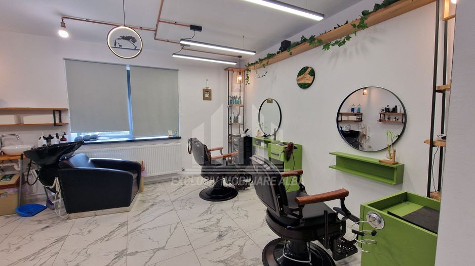 Casa pentru activitati economice  in Cetate - Poză 2