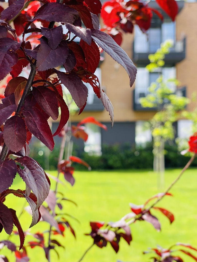 OFERTA VANDUTA - Direct Dezvoltator 0% Comision | Apartament 2 camere 55.8 mp | - Poză 6