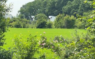 Teren intravilan 498,02 mp langa pădure , strada privata Corbeanca - Poză 9