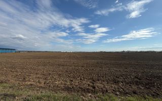 TEREN 26.500 mp -BUFTEA - INDUSTRIAL / COMERCIAL - Poză 4