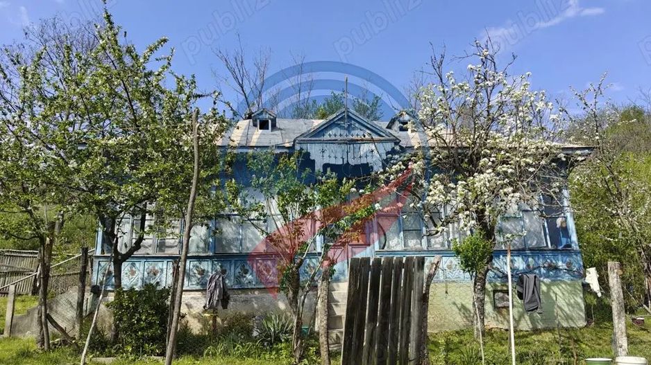 CASA LA 20 KM DE CRAIOVA CU 10000 MP. TEREN - Poză 2