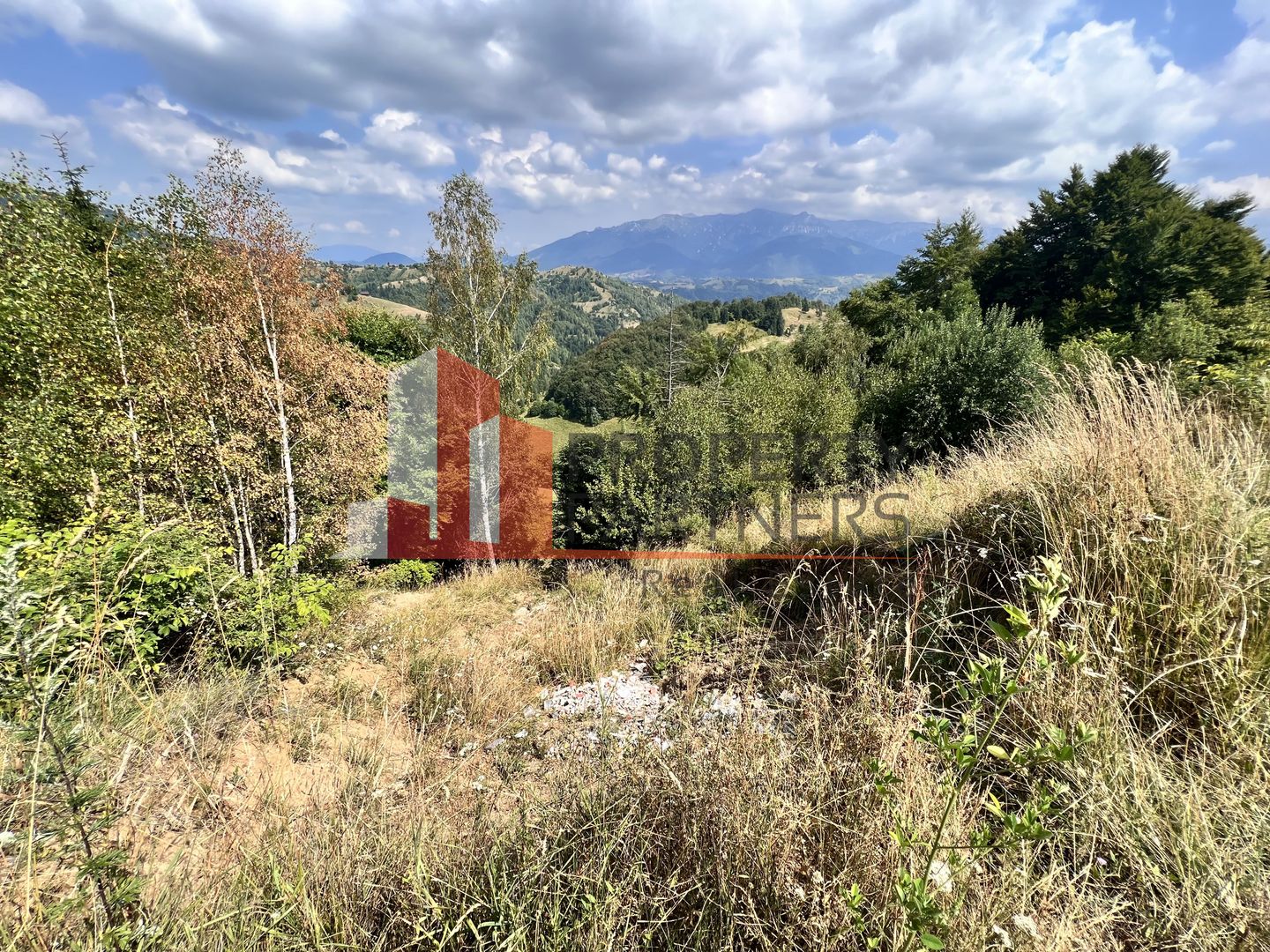 Teren de vânzare langa  Peștera Liliecilor  in Sat Pestera - Poză 28