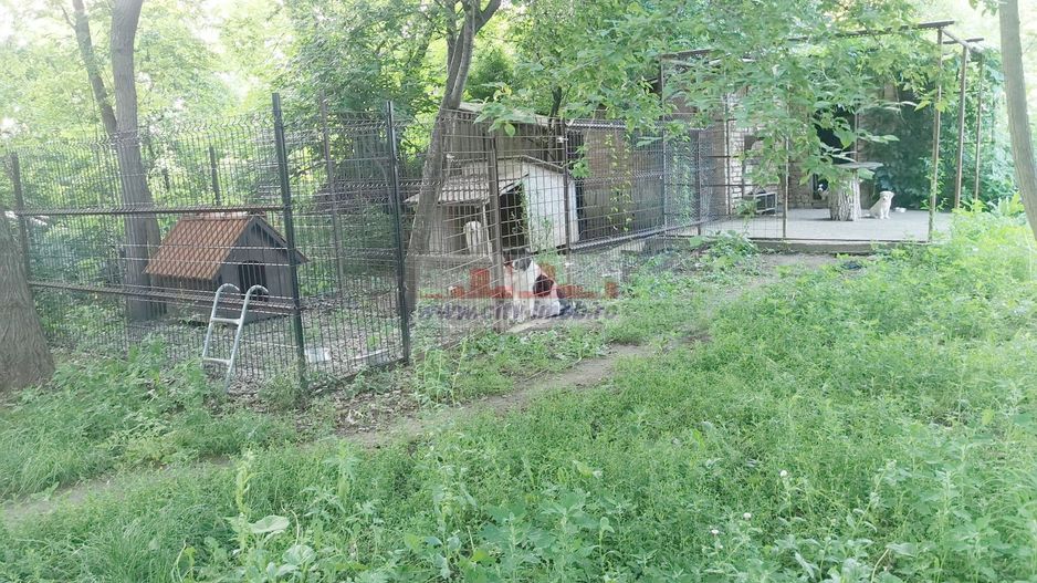 Vanzare casa conslidata Silistea Snagovului Com. Gruiu, Ilfov Snagov - Poză 34