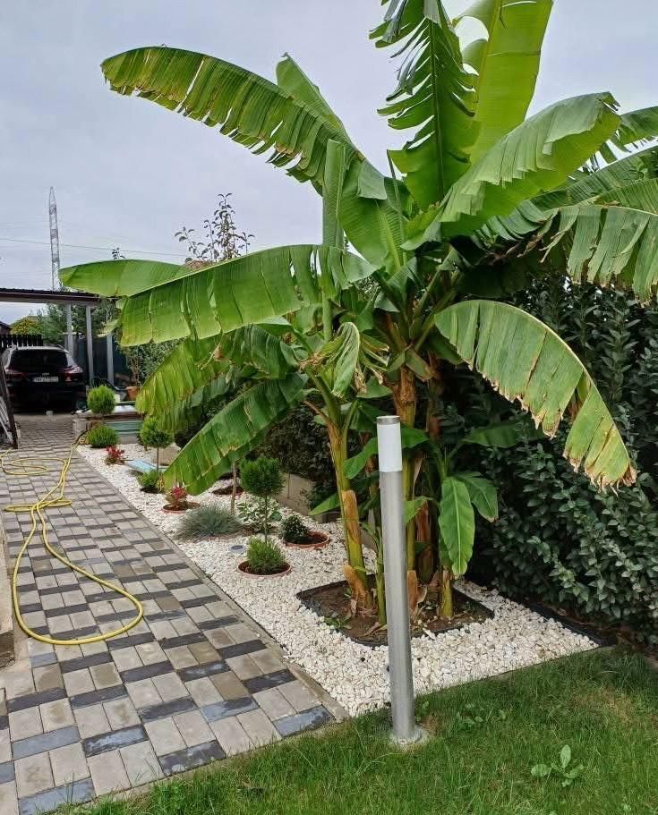 Duplex complet mobilat și utilat cu 3 camere |Dumbrăvița| - Poză 11