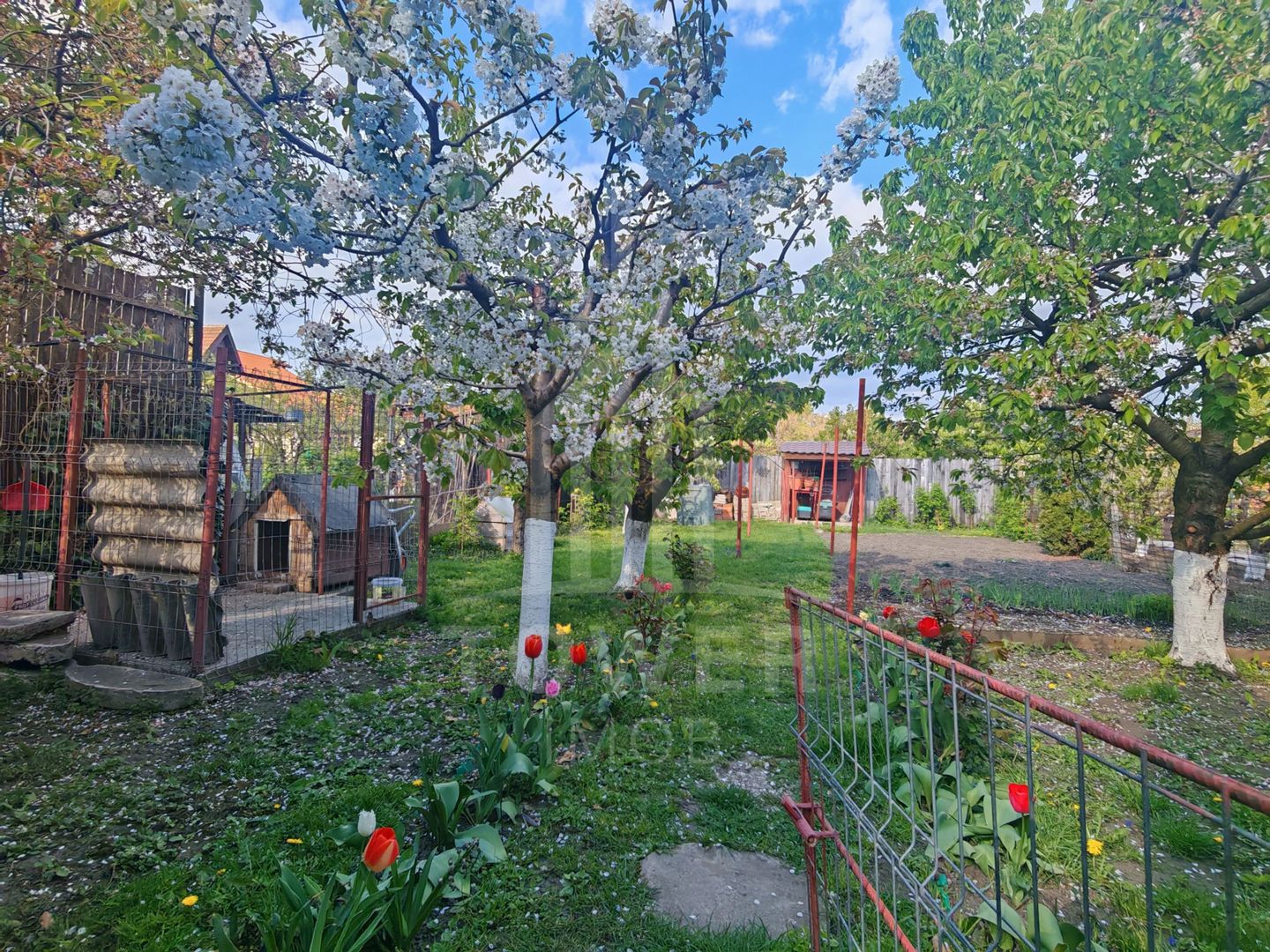 Casă individuală de vânzare – cartier Lazaret, Sibiu - Poză 21